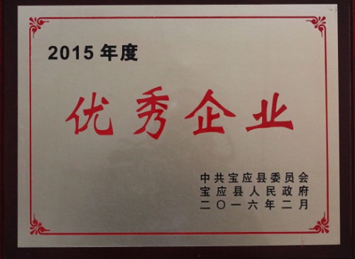 公司被宝应县人民政府授予2015年度“优秀企业”荣誉称号